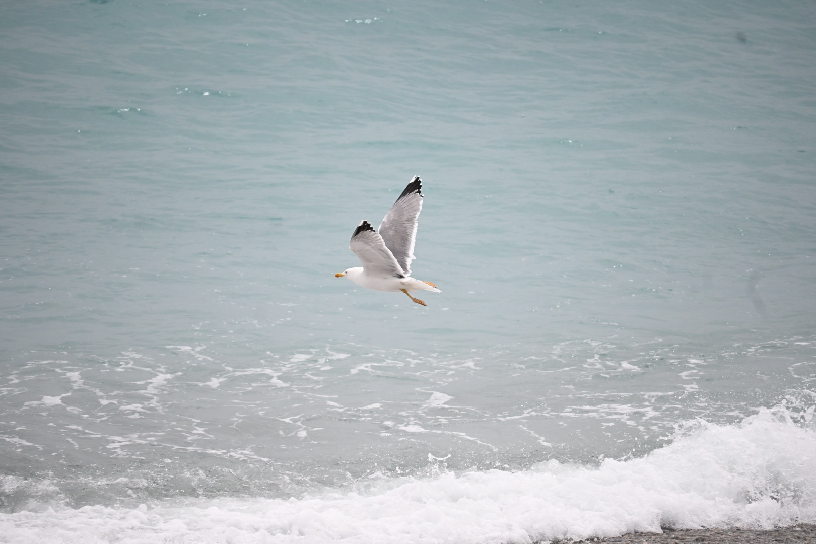 On vole sur la Promenade (des Anglais)